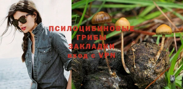 СК Бугульма