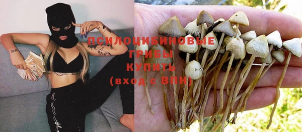 СК Бугульма