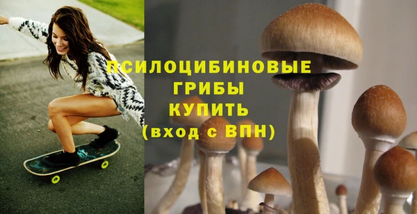 а пвп мука Бронницы