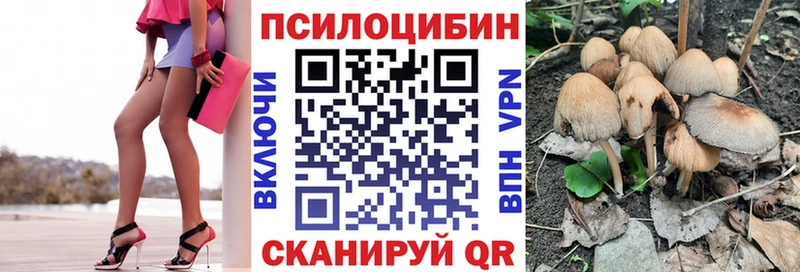 Галлюциногенные грибы Magic Shrooms  Киреевск 